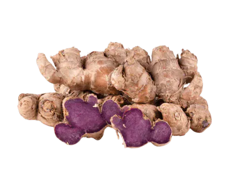 Thai Black Ginger